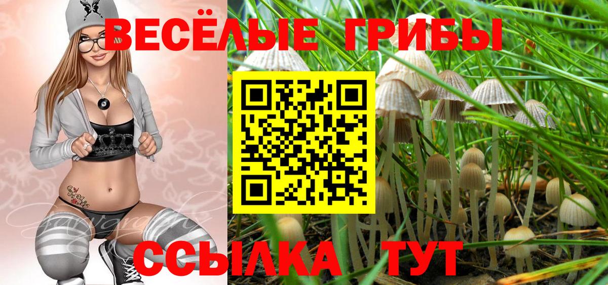 Иваново  Галлюциногенные грибы прущие грибы  Галлюциногенные грибы Psilocybine cubensis  Вход с VPN 