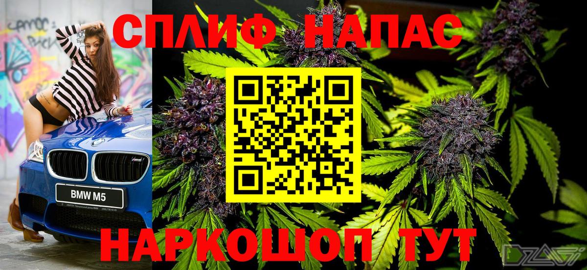 Бошки Шишки план Иваново